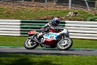 Vintage-motorcycle-club;eventdigitalimages;mallory-park;mallory-park-trackday-photographs;no-limits-trackdays;peter-wileman-photography;trackday-digital-images;trackday-photos;vmcc-festival-1000-bikes-photographs